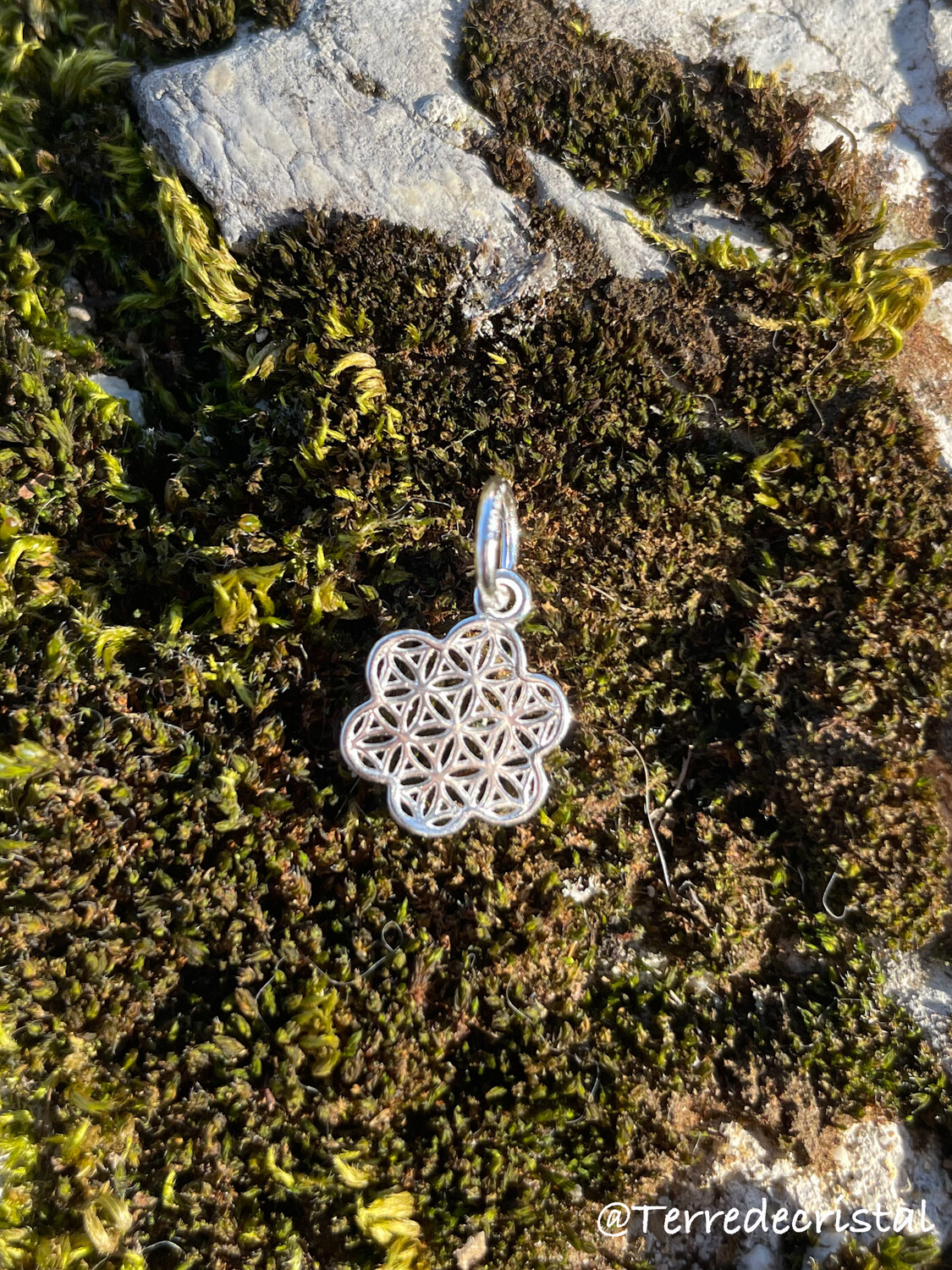 Pendentif/breloque Fleur de vie en argent 925