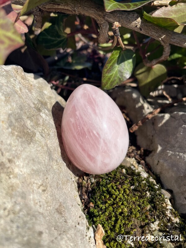 Oeuf de Yoni grand percé en Quartz rose