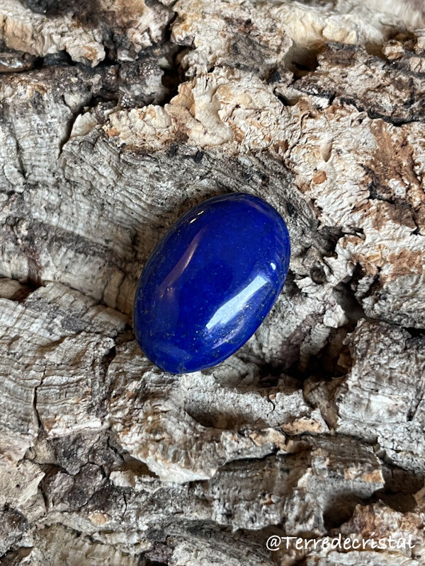 Cabochon ovale Lapis-lazuli 