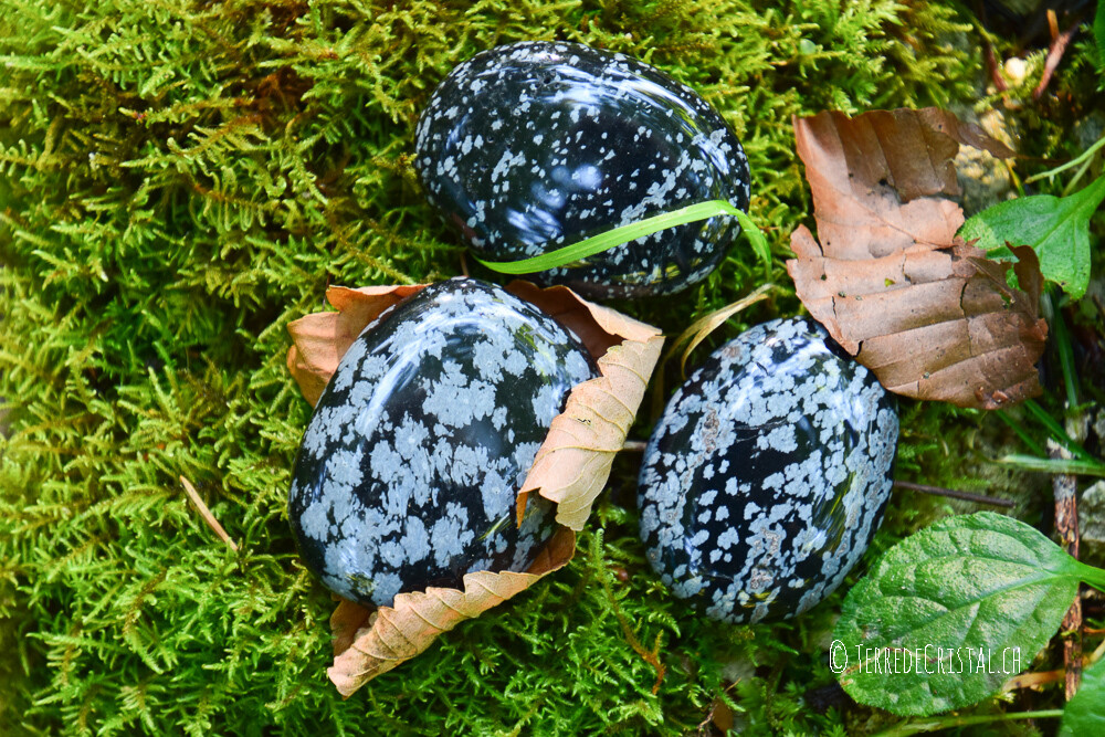 Obsidienne flocon de neige plate