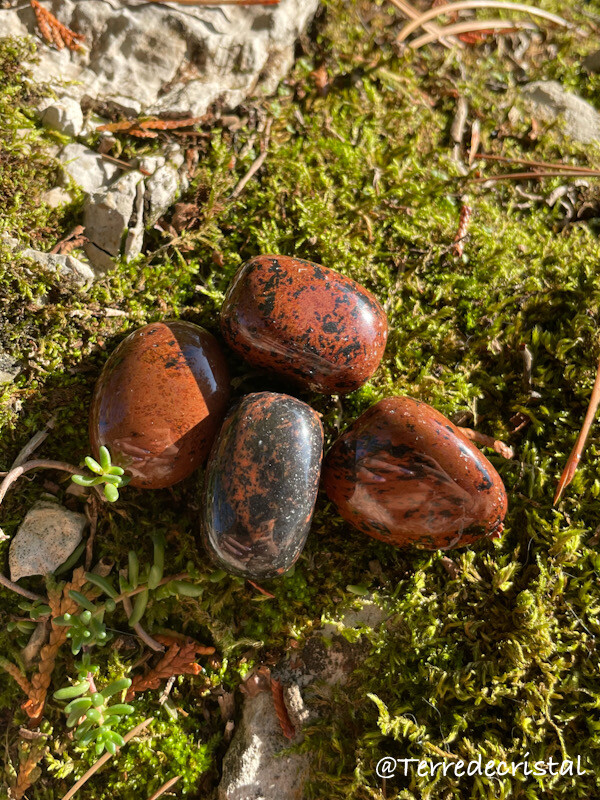 Obsidienne acajou roulée