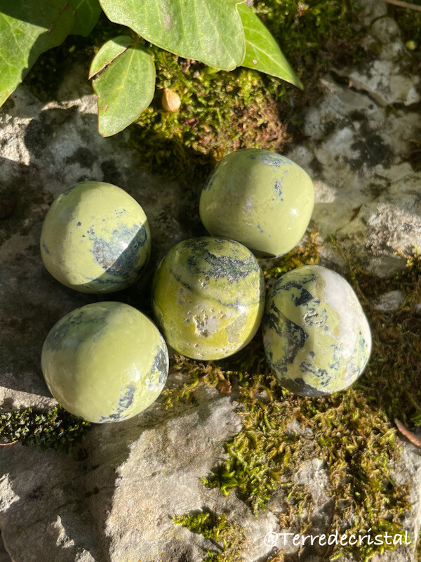 Serpentine roulée