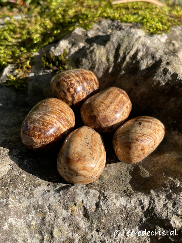 Aragonite rubanée roulée