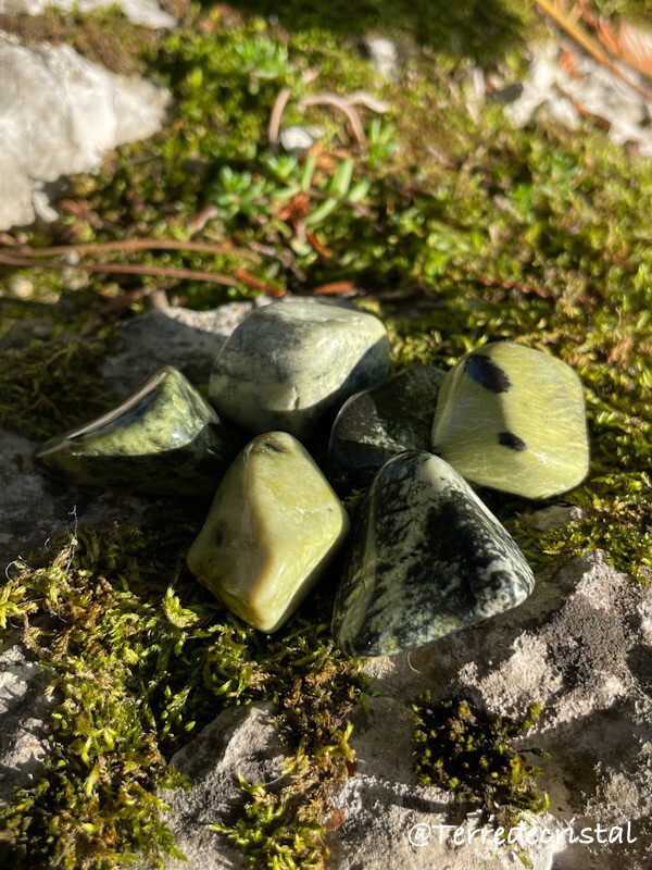 Serpentine Chyta roulée