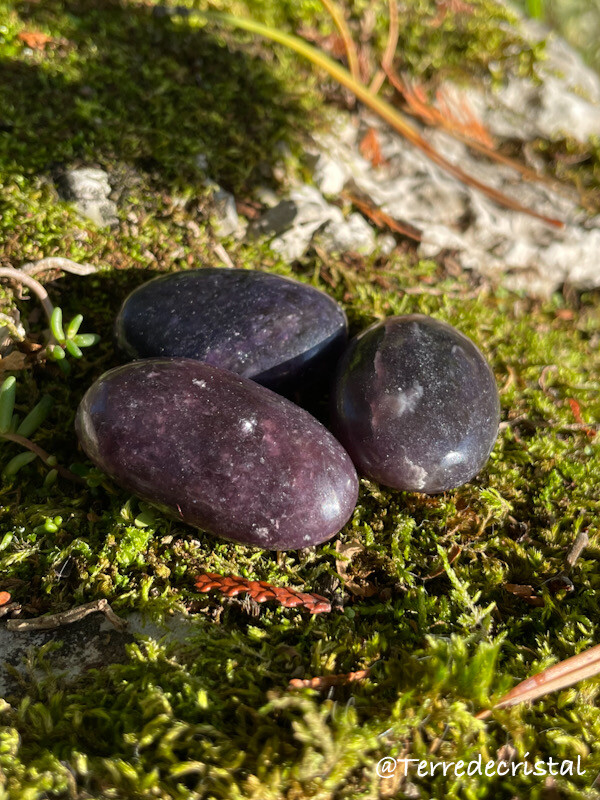 Lépidolite plate