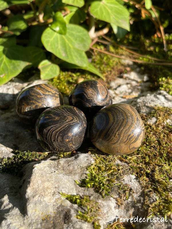 Stromatolite roulée