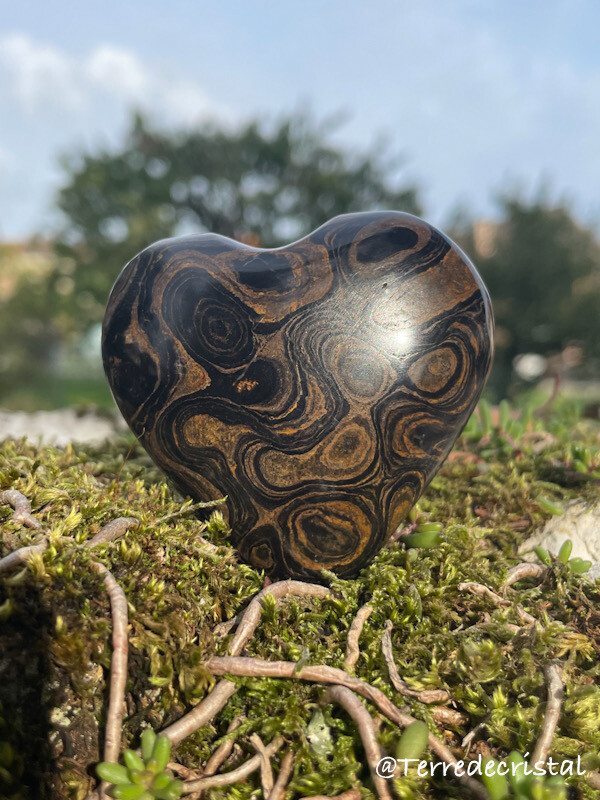 Coeur en Stromatolite