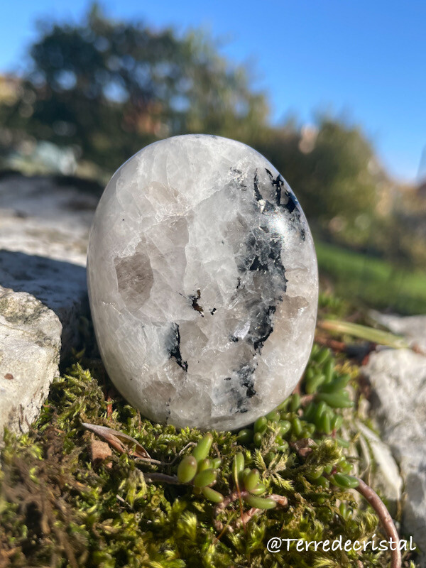 Galet en Pierre de lune blanche bleutée
