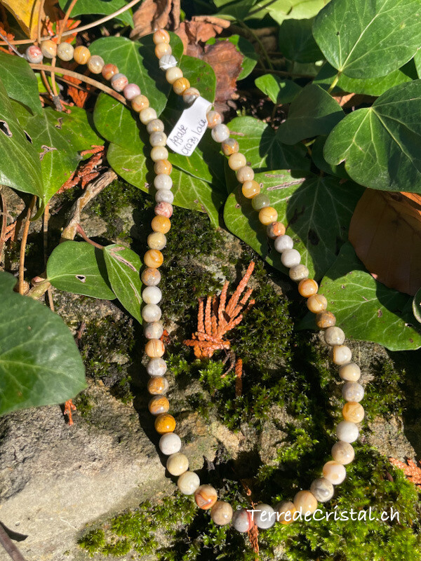 Rang d&#39;Agate Crazy Lace 6 mm