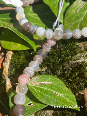 Demi rang d'Agate du Botswana 6 mm