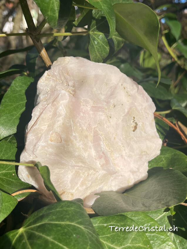 Mangano-calcite brute