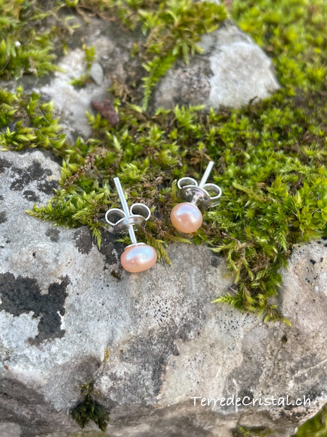 Clous d'oreilles en Perles d’eau douce