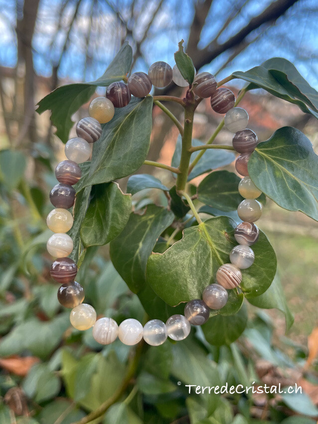 Bracelet en Agate du Botswana 6mm