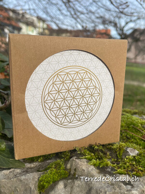 Set de sous-verres Fleur de vie ronds