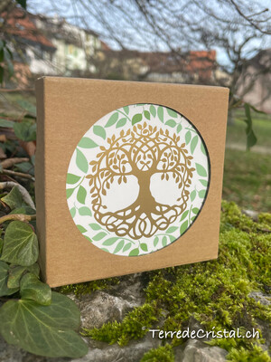 Set de 6 sous-verres arbre de vie