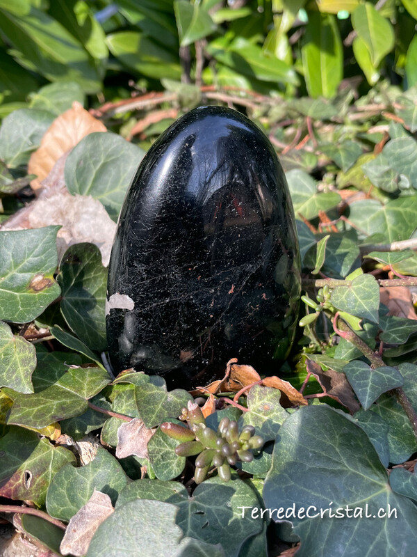 Menhir en Tourmaline noire