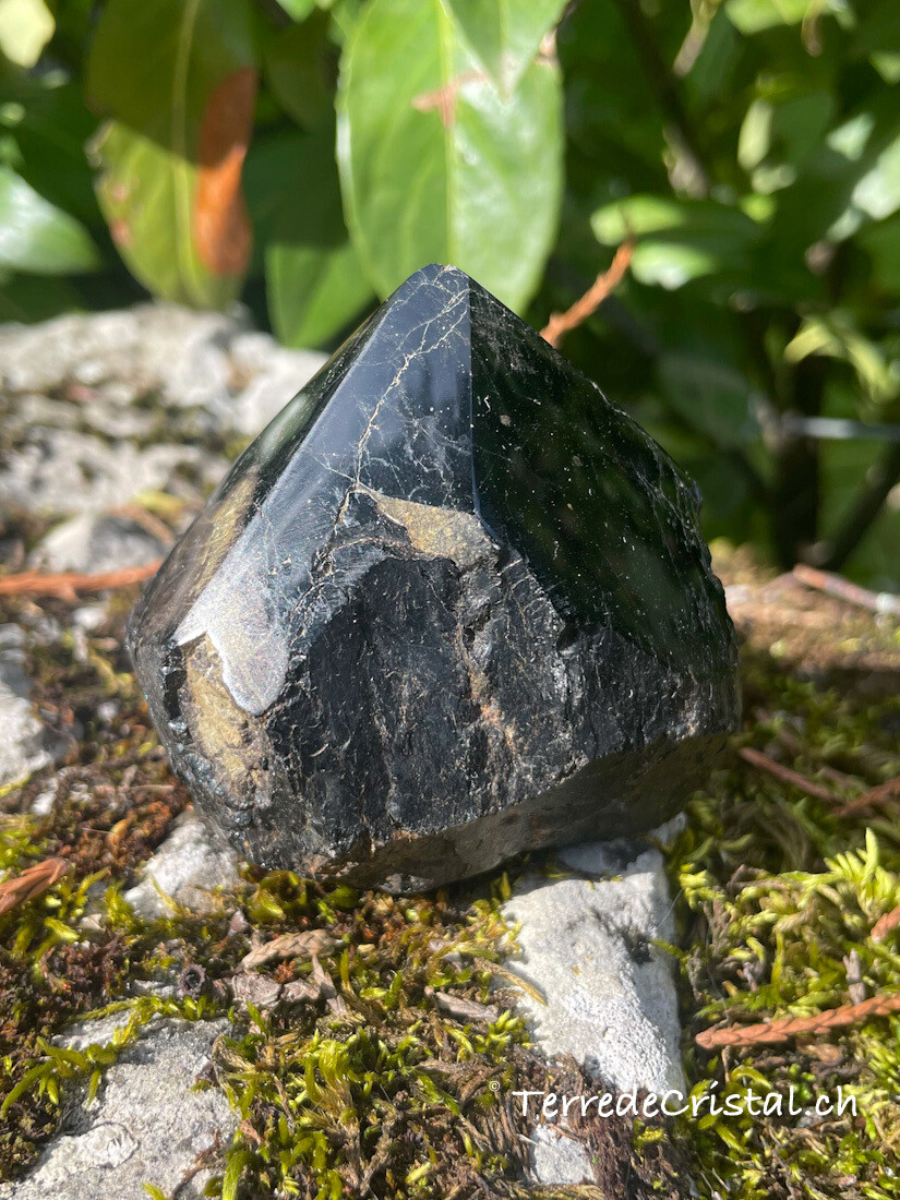 Pointe de Tourmaline semi-brute