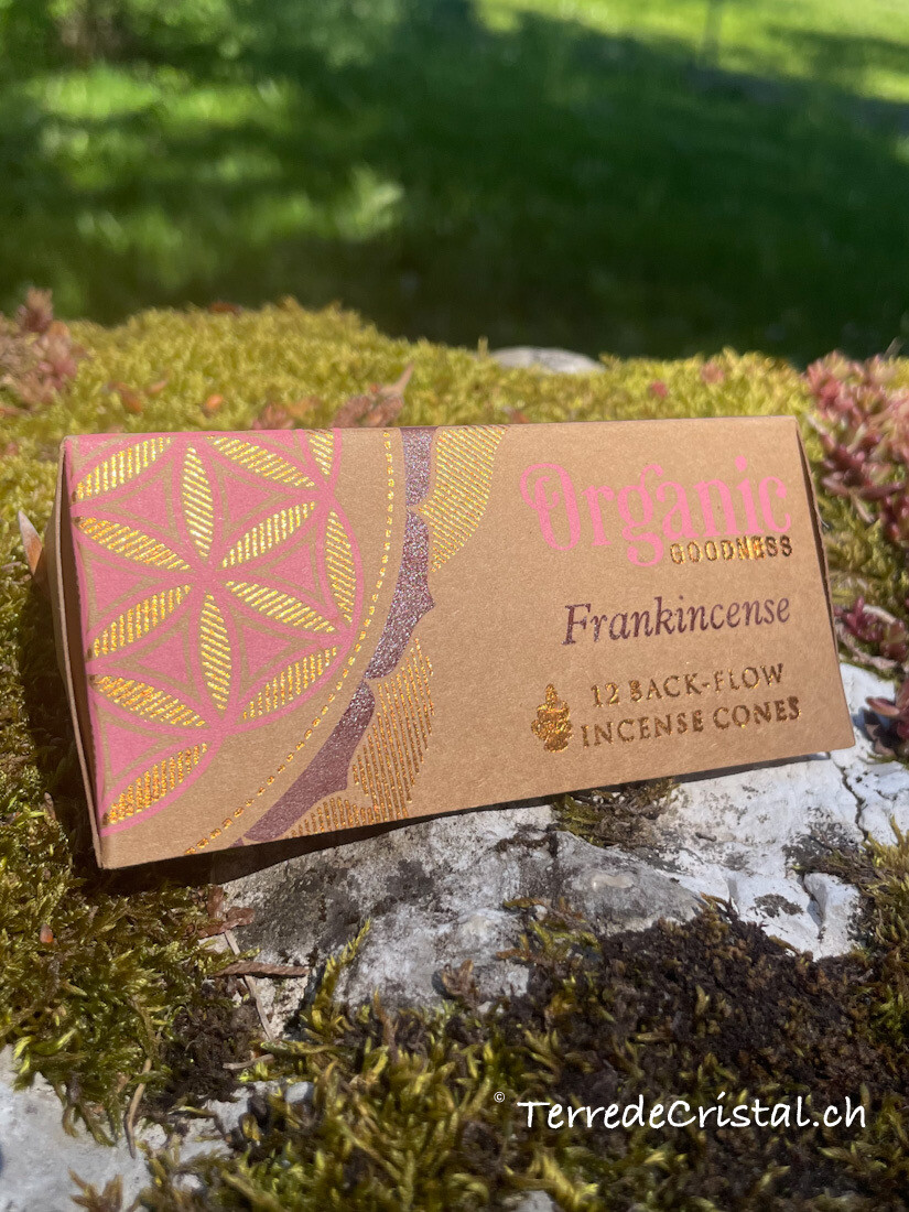 Cônes d'encens "back-flow"- Frankincense
