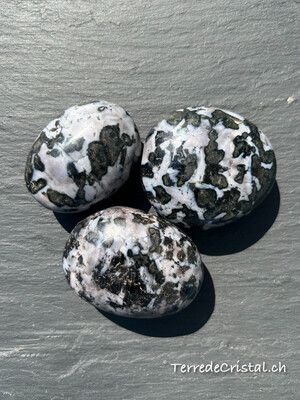 Galet en Gabbro Merlinite
