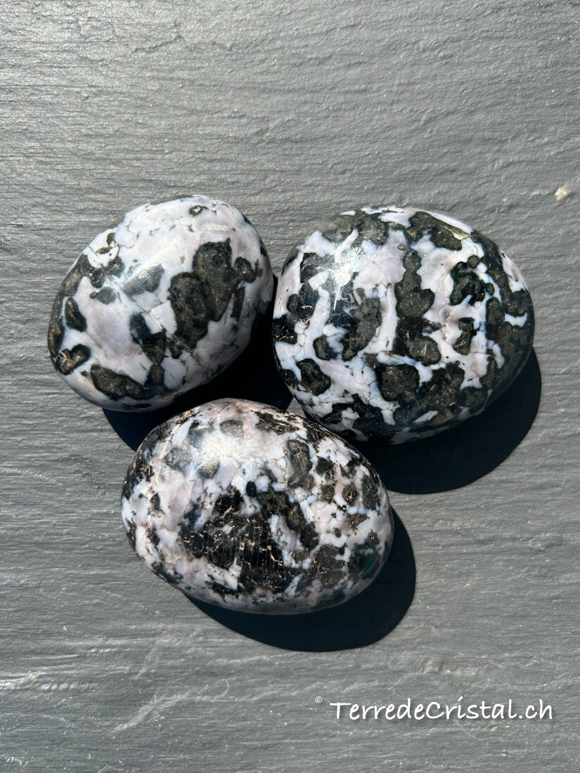 Galet en Gabbro Merlinite