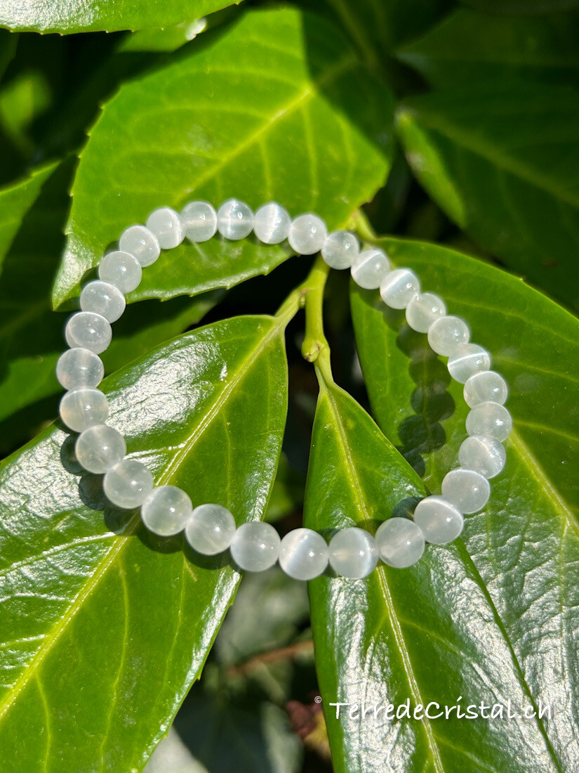 Bracelet en Sélénite 6mm
