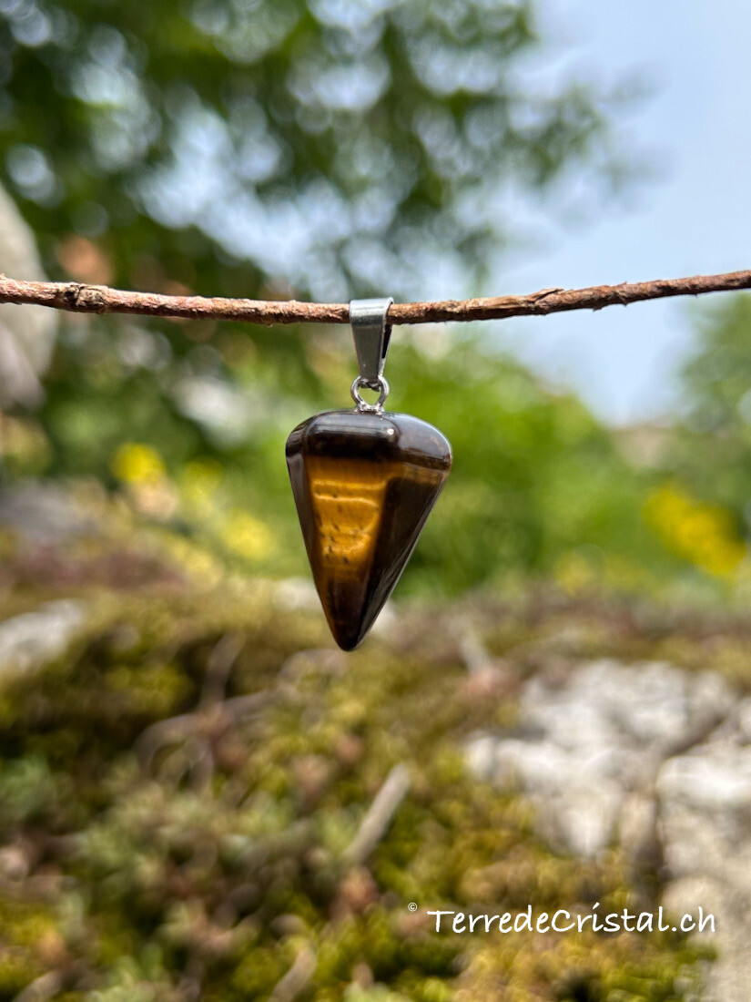 Pendentif/pendule en Oeil de tigre
