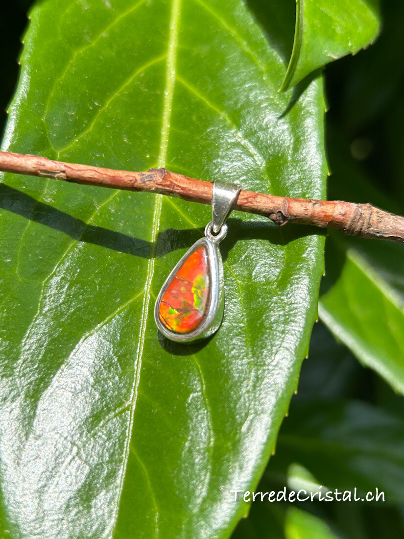 Pendentif en Ammolite