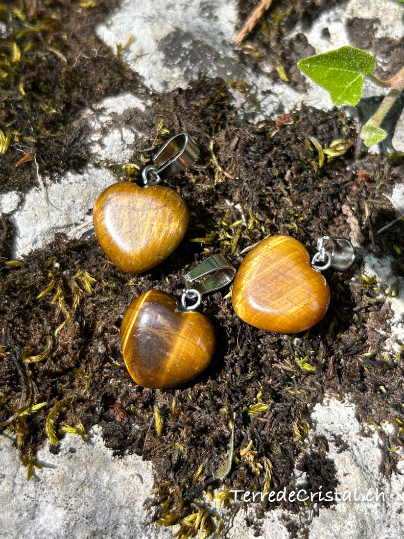 Pendentif coeur en Oeil de tigre