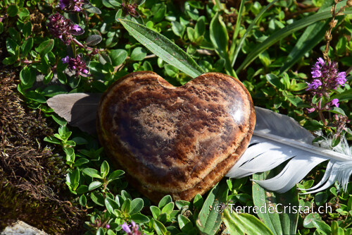 Coeur en Aragonite rubanée