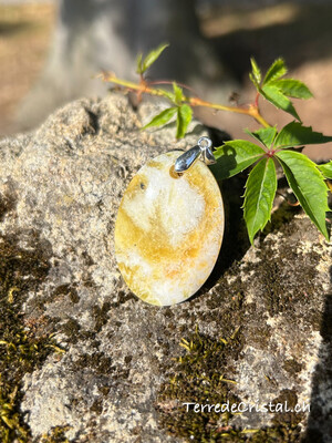 Pendentif en Opale dendritique