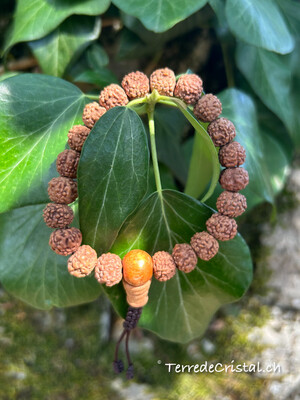 Bracelet en Rhudraksha 8 mm