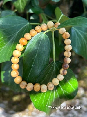 Bracelet en Bois de santal 6mm 