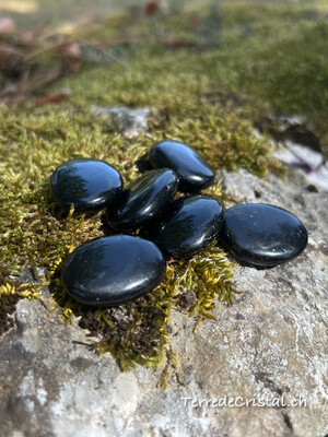 Tourmaline noire plate
