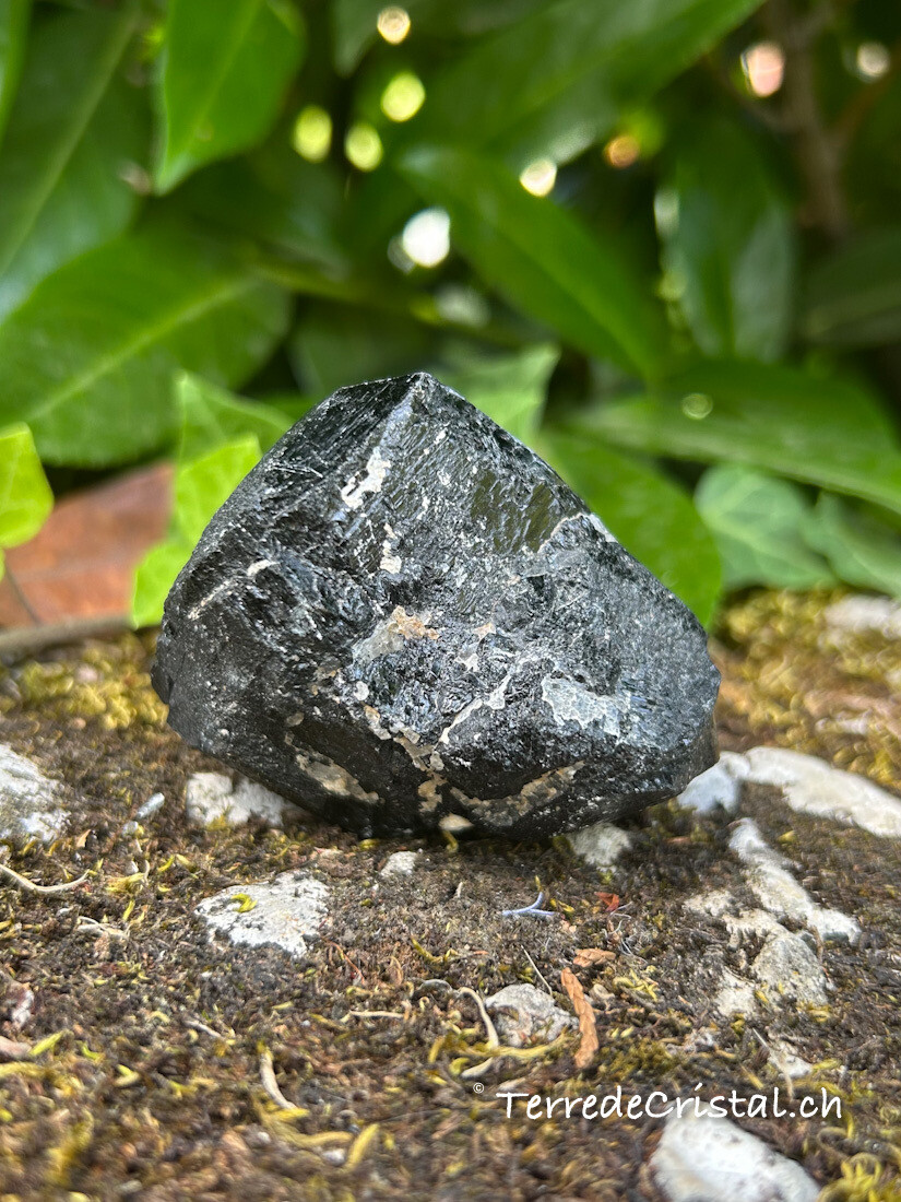Tourmaline noire brute d'Inde