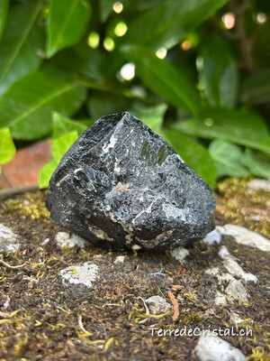 Tourmaline noire brute d'Inde