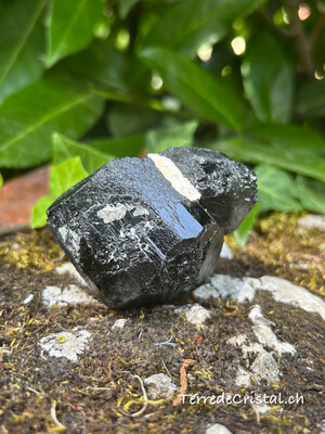 Tourmaline brute
