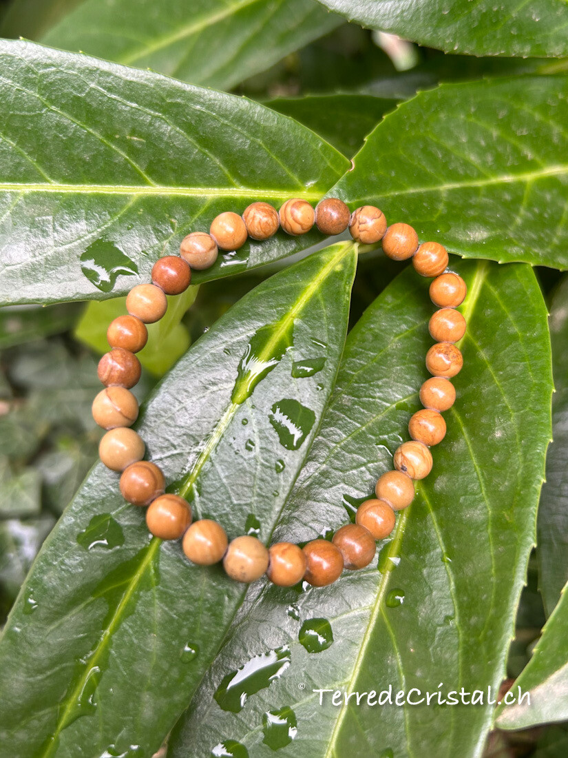 Bracelet en Jaspe paysage  6mm