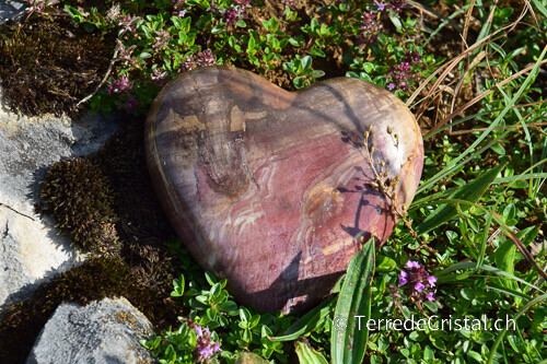 Coeur en Bois fossilisé