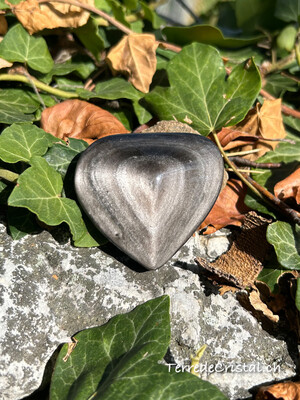 Coeur en Obsidienne argentée