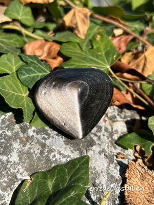 Coeur en Obsidienne argentée