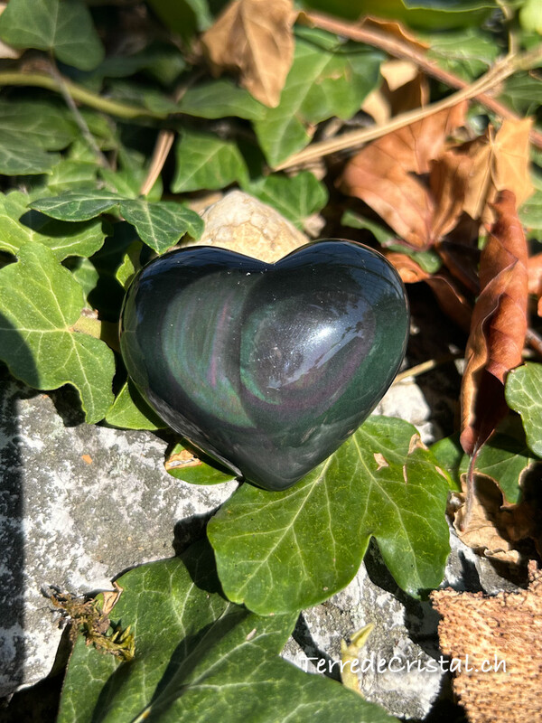 Coeur en Obsidienne oeil céleste