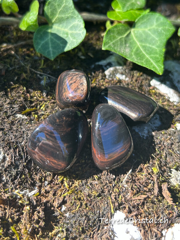 Obsidienne Red sheen