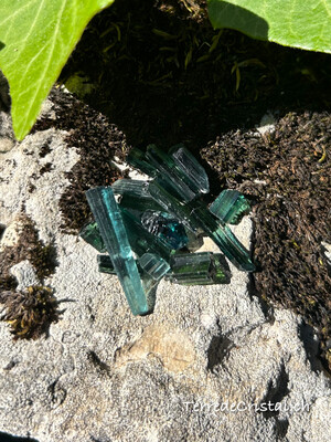 Lot de Tourmaline verte brute