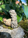 Fulgurite ou pierre de foudre