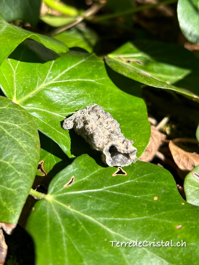 Fulgurite