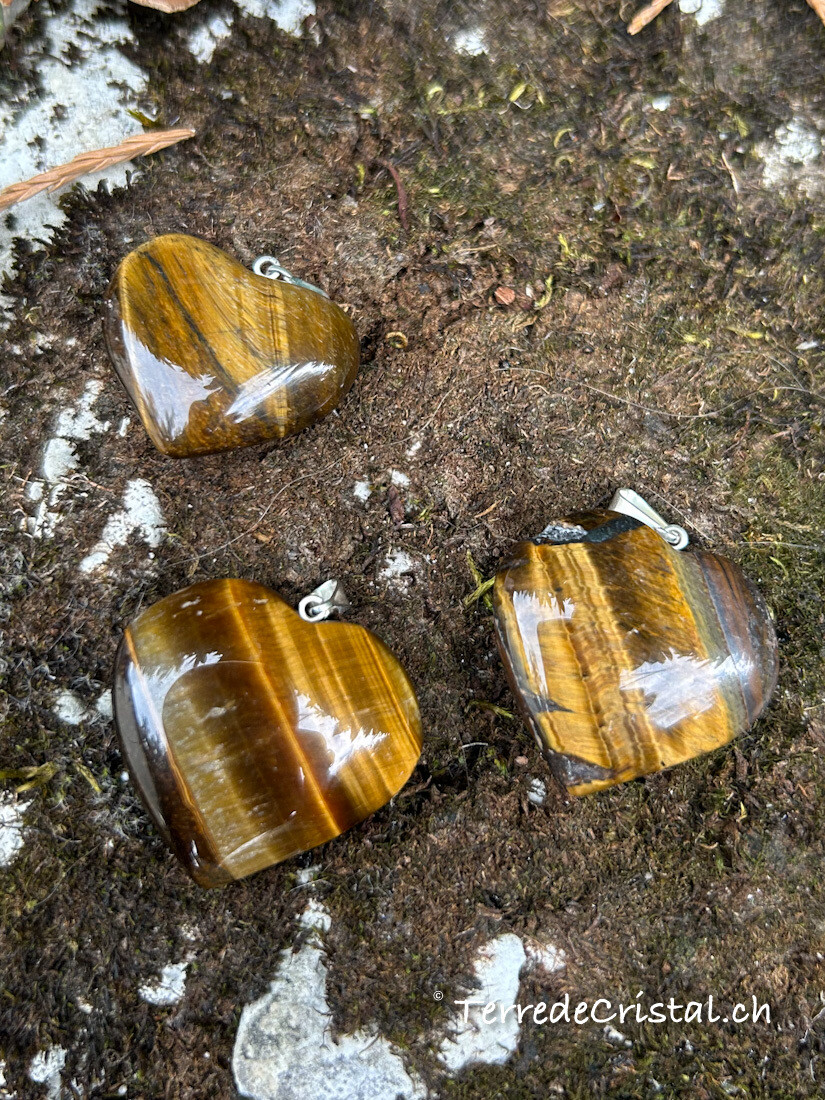 Pendentif Coeur en Oeil de tigre