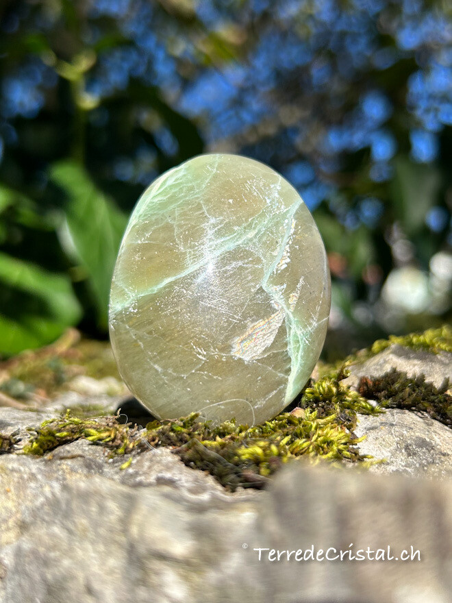 Galet en Pierre de Lune verte / Garnièrite