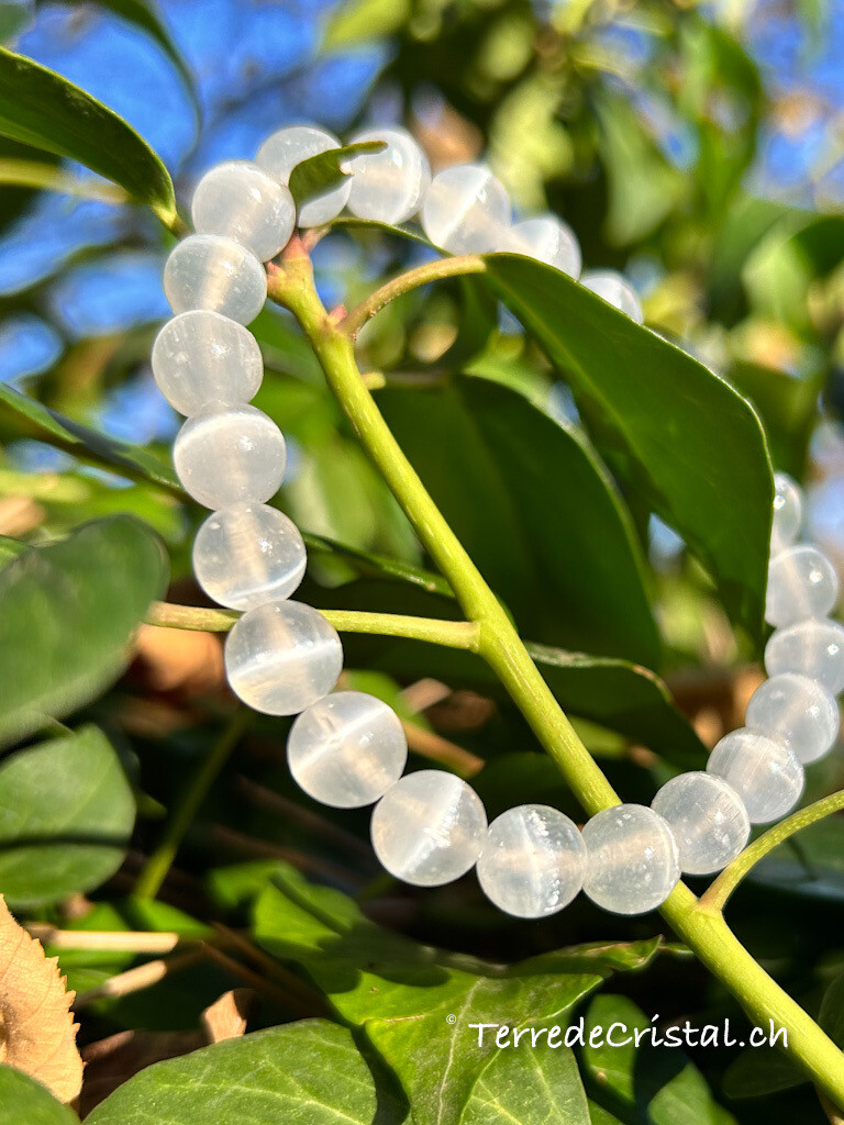 Bracelet en Sélénite 8 mm