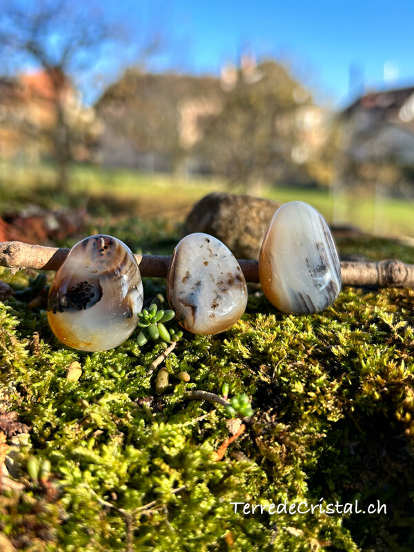 Agate dendritique percée