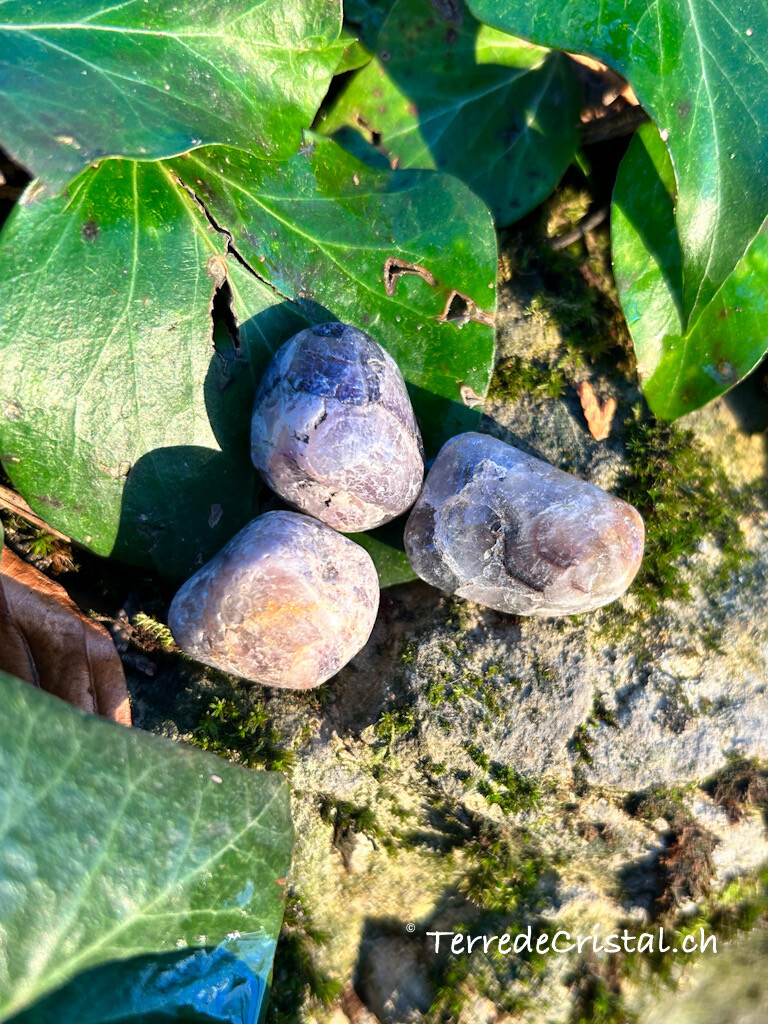 Cacoxénite roulée